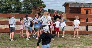półkolonie letnie w mieście dzieci bawią się ze zwierzętami